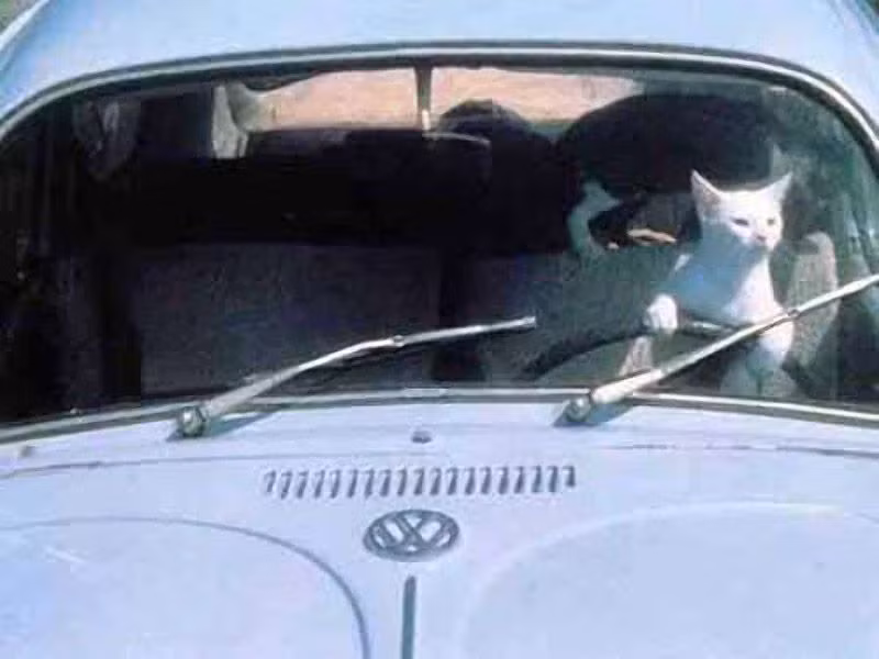 Sao mãi chưa thấy đèn xanh vậy nhỉ?