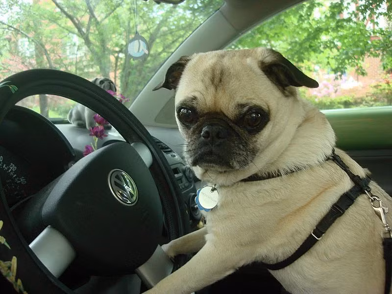 Không biết có chuyện gì mà đông vậy?