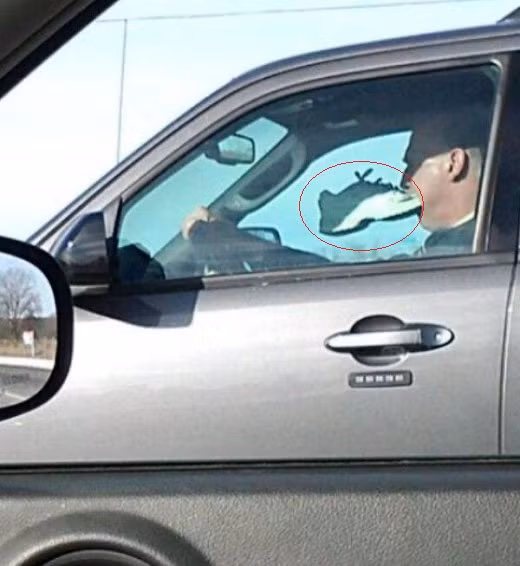 Hành động kỳ lạ.