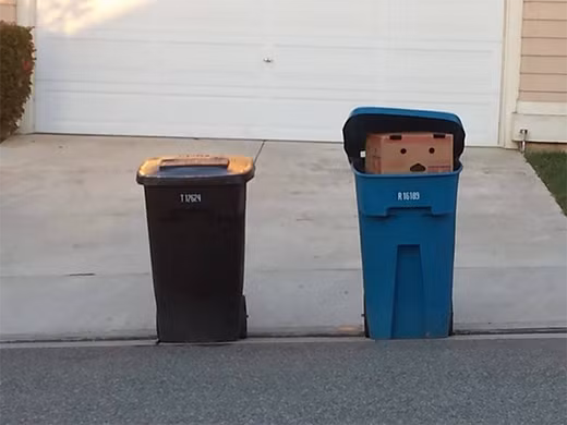 Mình nhìn mãi mà sao không thấy có xe rác nào tới vậy?