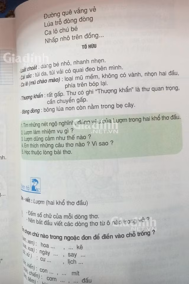 Sai dấu nghiêm trọng trong câu thơ "Lúa trổ đòng đòng".