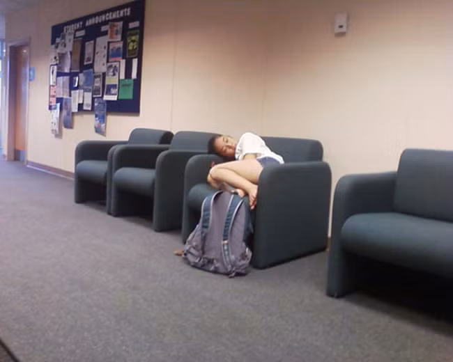 Người đẹp ngủ.