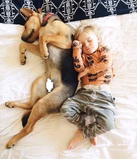 Tựa vào lưng nhau mà ngủ...