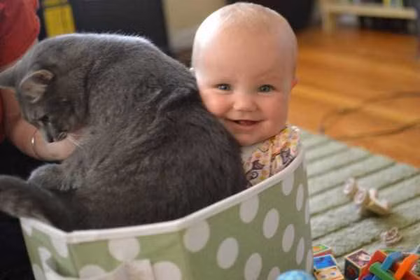 Cho em vào với nào!