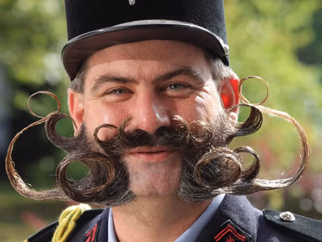 Giống như bộ râu của một chú hề.