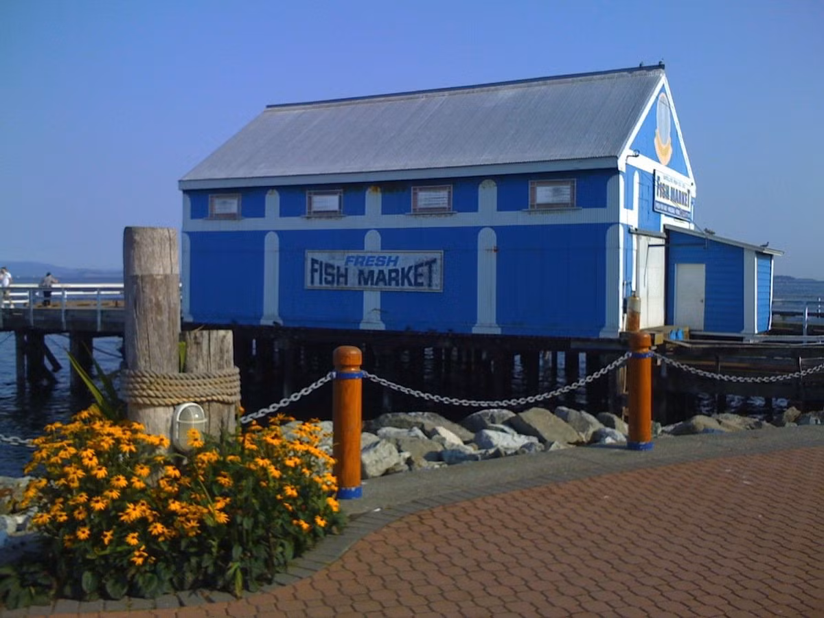 Đây là ảnh chụp ngoài trời bằng iPhone đời đầu.