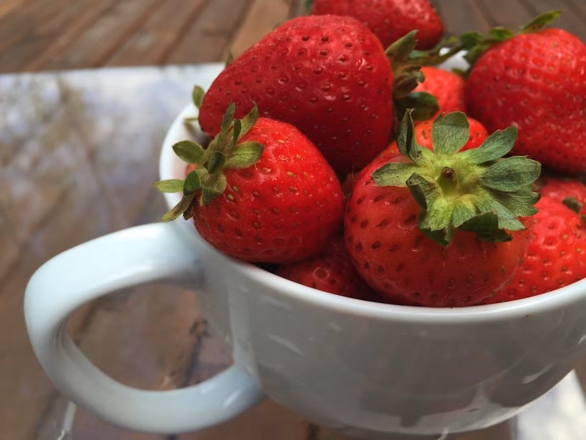 Và đây là những gì mà hình ảnh chụp từ iPhone 6 thể hiện, hình ảnh không khác nhiều so với iPhone 5s , ngoại trừ màu đỏ của dâu tây đậm hơn.