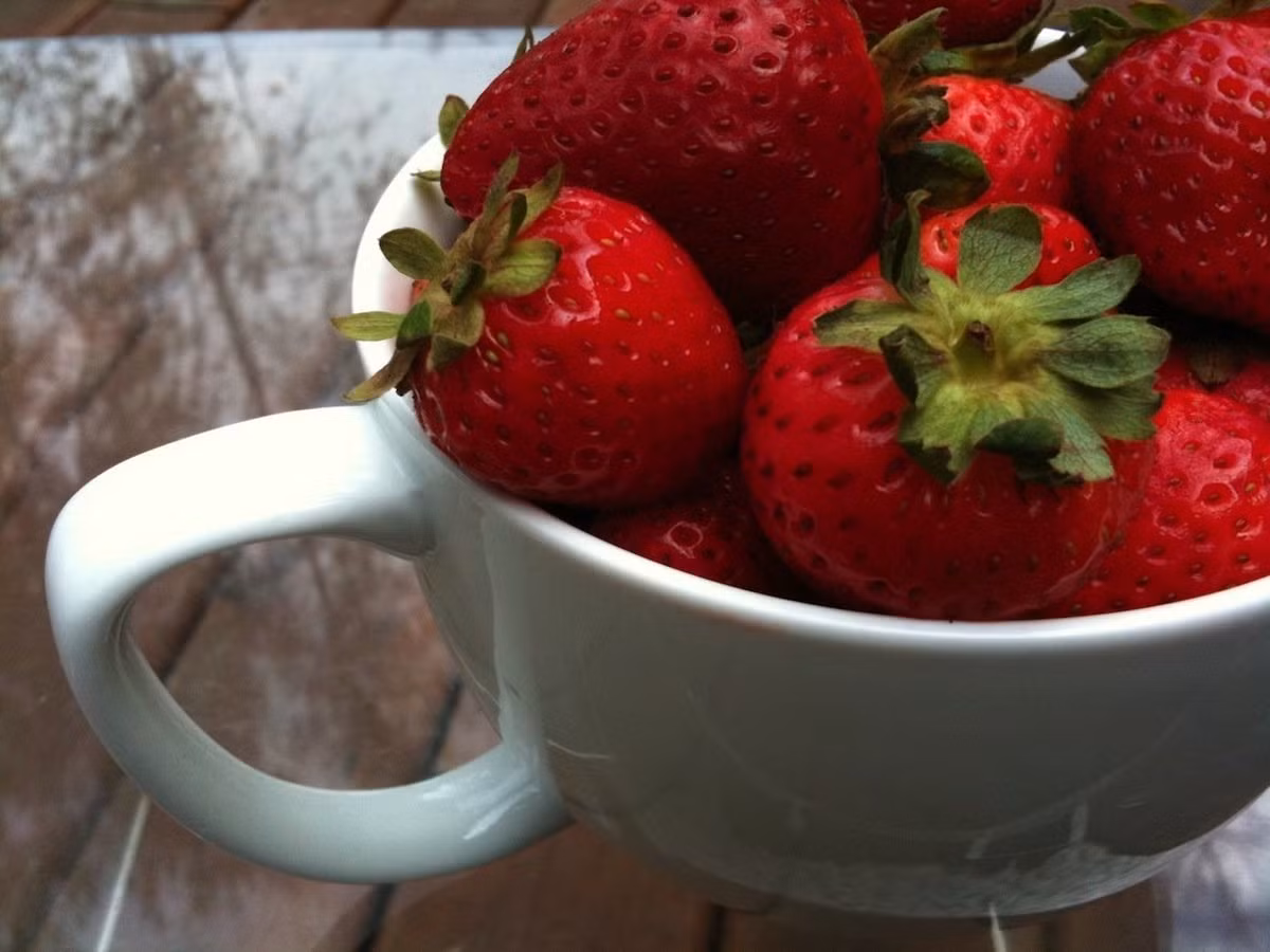 Có một sự khác biệt hoàn toàn đối với các bức hình chụp bằng iPhone 3GS, hình ảnh trở nên sắc nét hơn nhiều, quả dâu tây đã được bắt nét.