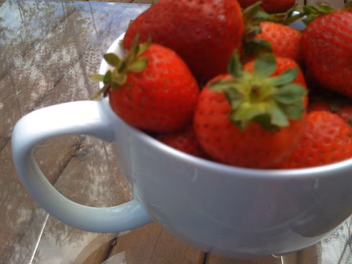 Sau khi chuyển sang camera của iPhone 3G, ánh sáng ảnh đã rõ ràng hơn nhưng chủ thể ảnh là dâu tây vẫn bị bỏ rơi.