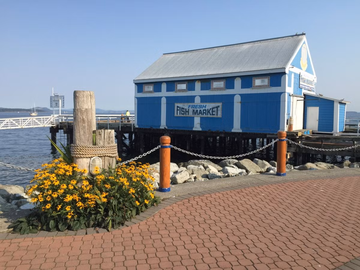 Có rất nhiều khác biệt giữa hình ảnh này được chụp bằng iPhone 6 và hình ảnh trước đó chụp bằng iPhone đời đầu, bức ảnh chụp tươi sáng và sắc nét hơn.