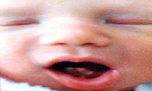 Thiên thần nhí tên Rose.