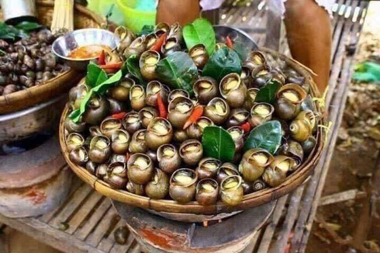 Nuoi dac san cho an toan thu bo di, kiem tien trieu moi thang-Hinh-3