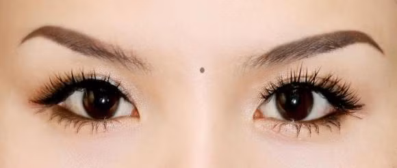 5 not ruoi dai hung, pha tai loc cua chu nhan