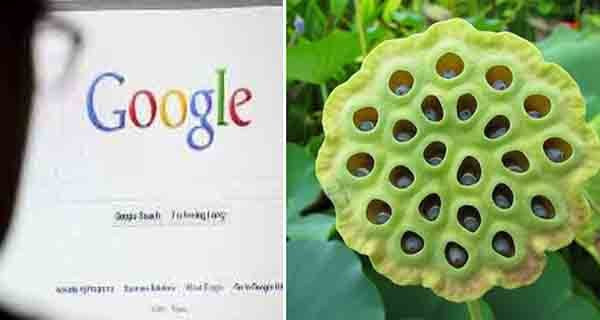 9 tu khoa ban tuyet doi khong nen tim kiem tren Google