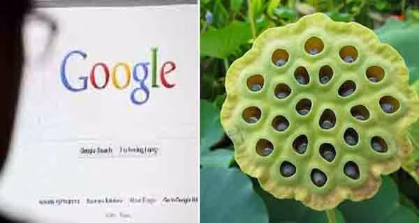 9 tu khoa ban tuyet doi khong nen tim kiem tren Google