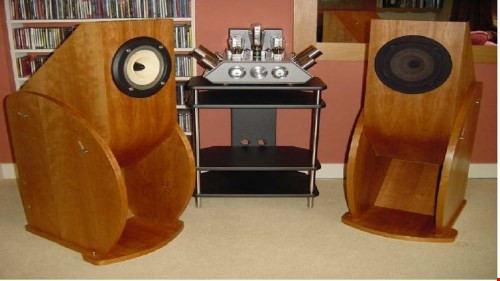 Độc đáo và lạ mắt, mức giá cho sản phẩm không quá đắt, khoảng trên 900 nghìn. Đôi khi có những bộ loa giá "chát" hơn tầm 30- 40 triệu. Trên thị trường, người mua có thể tìm đượcdòng Lowther,Fostex,Diatone 610,Telefunken... vớikỹ thuật chế tạo phức tạp và có giá cao hơn.