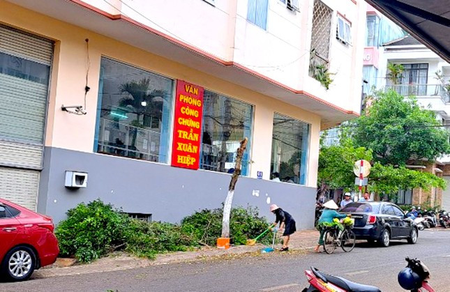 Lam ro viec cuu giam doc So Tu phap tinh Gia Lai tu y cat ngon cay xanh