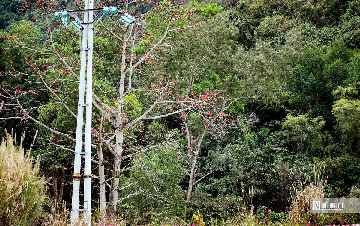 Đến Cát Bà trên cung đường ven biển đẹp nhất Vịnh Bắc bộ - Hình 3 Den Cat Ba tren cung duong ven bien dep nhat Vinh Bac bo-Hinh-3