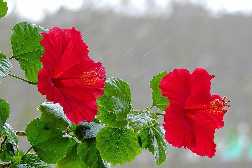 Ai sinh tháng Âm lịch này cuộc sống vất vả, con cái thành danh, về già hưởng phúc - Hình 3 Ai sinh thang Am lich nay cuoc song vat va, con cai thanh danh, ve gia huong phuc-Hinh-3