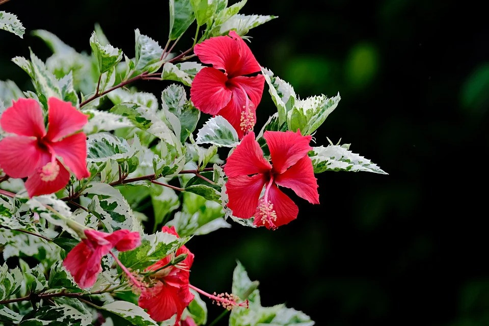 Ai sinh tháng Âm lịch này cuộc sống vất vả, con cái thành danh, về già hưởng phúc - Hình 2 Ai sinh thang Am lich nay cuoc song vat va, con cai thanh danh, ve gia huong phuc-Hinh-2