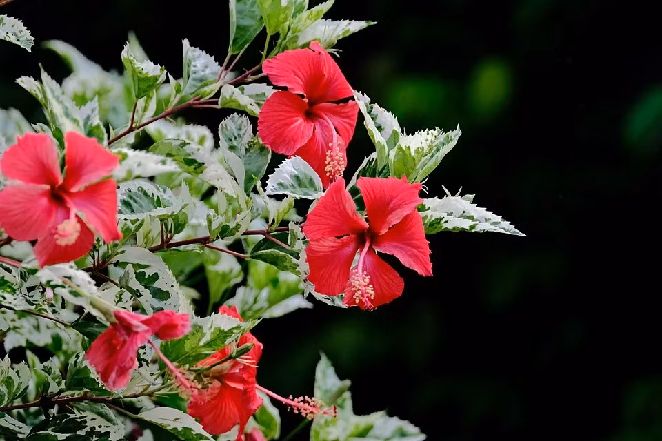 Ai sinh thang Am lich nay cuoc song vat va, con cai thanh danh, ve gia huong phuc-Hinh-2