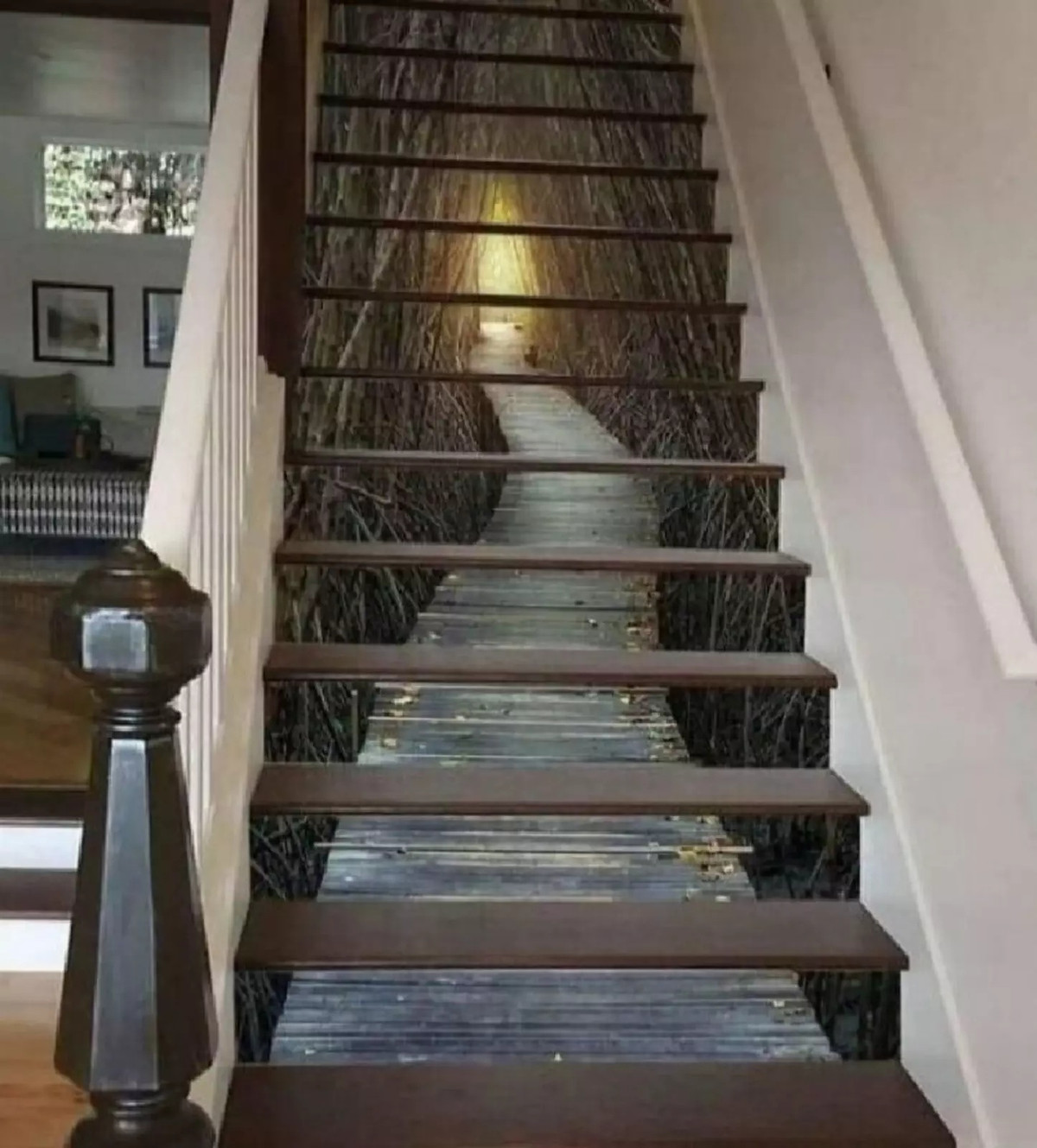 Những thiết kế ‘đi vào lòng đất’ khiến ai thấy cũng phải bối rối ảnh 2