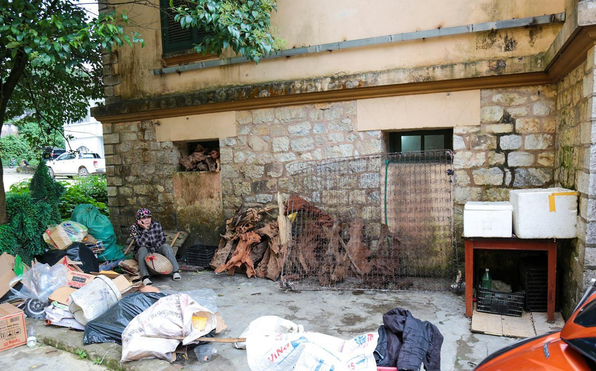 Biệt thự Pháp cổ bỏ hoang giữa lòng Sa Pa ảnh 6