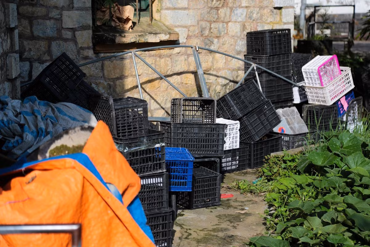 Biệt thự Pháp cổ bỏ hoang giữa lòng Sa Pa ảnh 7