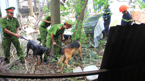 Cơ quan chức năng sử dụng chó nghiệp vụ đến hiện trường tham gia tìm kiếm thi thể các nạn nhân.