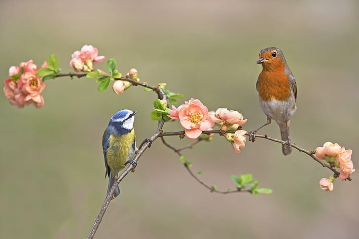 Thong minh, quyen ru, ai sinh thang Am lich nay di dau cung co ban-Hinh-4