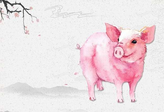 Đây là một năm gặp nhiều may mắn với họ, mọi mặt đều có chiều hướng đi lên và họ sẽ không cảm thấy bất kỳ áp lực tài chính nào. Những nỗ lực tuổi Hợi bỏ ra ở nơi làm việc sẽ được đền đáp xứng đáng, đời sống vật chất của bạn sẽ ngày càng tốt hơn.