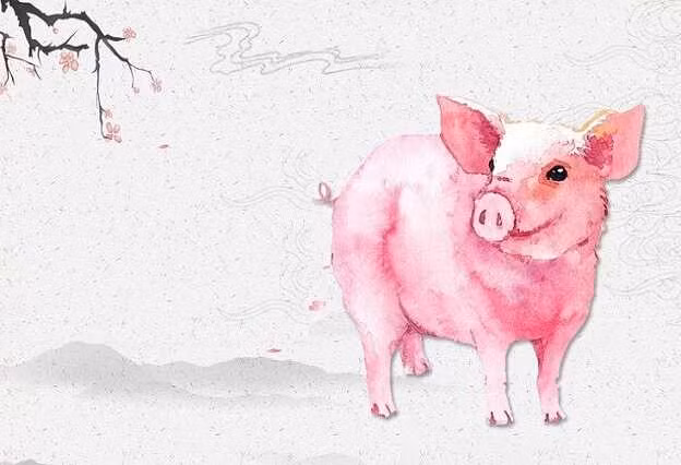 Đây là một năm gặp nhiều may mắn với họ, mọi mặt đều có chiều hướng đi lên và họ sẽ không cảm thấy bất kỳ áp lực tài chính nào. Những nỗ lực tuổi Hợi bỏ ra ở nơi làm việc sẽ được đền đáp xứng đáng, đời sống vật chất của bạn sẽ ngày càng tốt hơn.