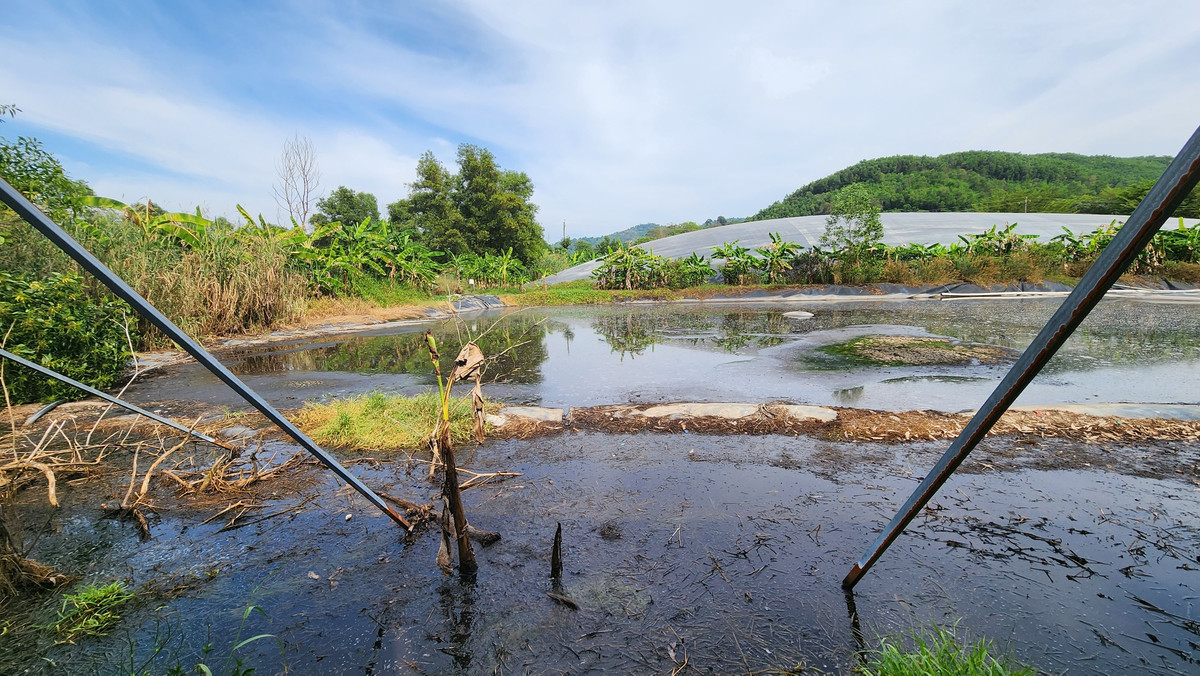 Lam Dong: Nguoi dan chan xe cho cam vao trai nuoi 8.300 con heo vi o nhiem-Hinh-3
