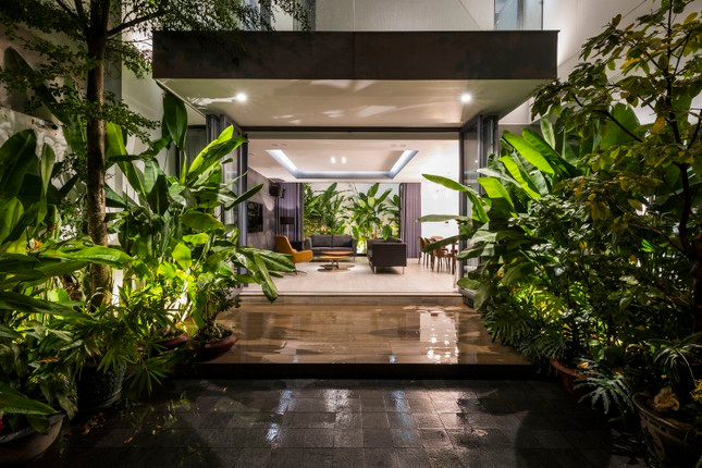 Ngoi nha toi gian so huu hai khu vuon xanh mat-Hinh-19