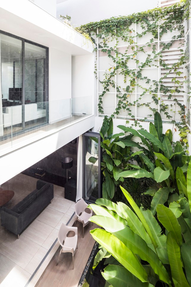 Ngoi nha toi gian so huu hai khu vuon xanh mat-Hinh-17