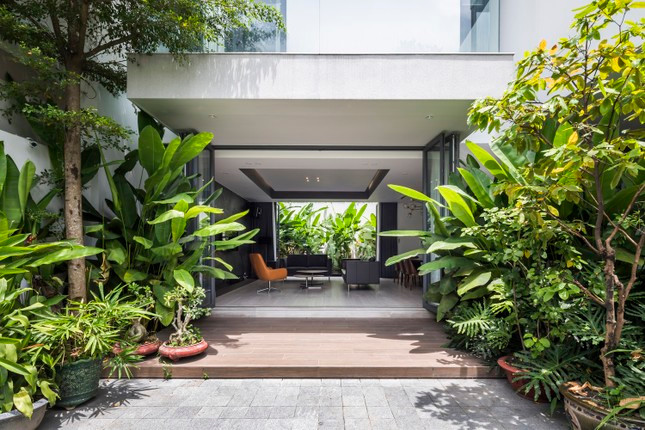 Ngoi nha toi gian so huu hai khu vuon xanh mat-Hinh-15