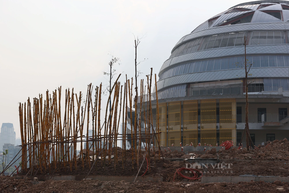 Phần cổng chính của Cung thiếu nhi, nhiều cây xanh bắt đầu được trồng.