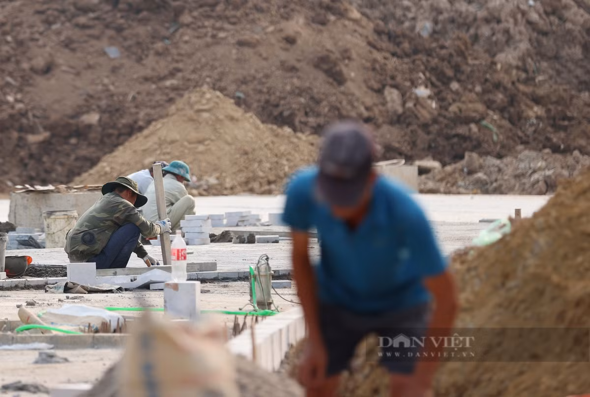 Chiều ngày 23/11, công nhân đang lát đá ở ngoài sân khu nhà A.