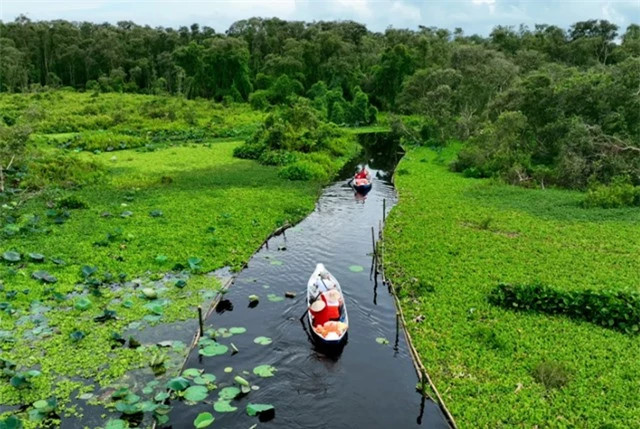 Rung tram dep nhat thuoc dia phan tinh nao?