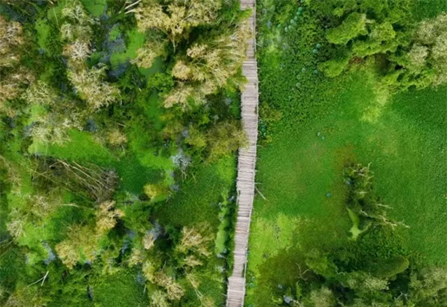 Rừng tràm đẹp nhất thuộc địa phận tỉnh nào? - Hình 2 Rung tram dep nhat thuoc dia phan tinh nao?-Hinh-2