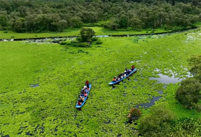 Rừng tràm đẹp nhất thuộc địa phận tỉnh nào? - Hình 3 Rung tram dep nhat thuoc dia phan tinh nao?-Hinh-3