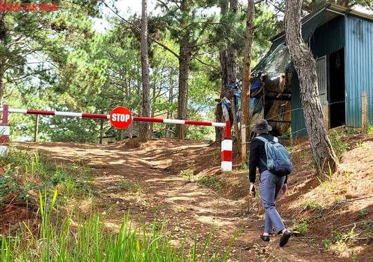 Trong khu vực này có một chốt gác nhưng theo quan sát của phóng viên thì ít khi có người, hàng rào được làm sơ sài nên bất cứ ai cũng có thể ra vào. Khung cảnh hoang tàn tại 15 "biệt thự ma" trong hồ Tuyền Lâm, Đà Lạt