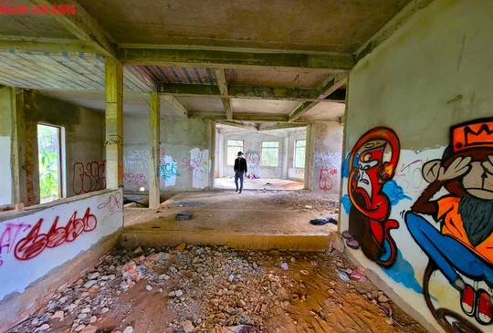 Các biệt thự này thuộc dự án của 2 doanh nghiệp đã chuyển nhượng cho Công ty CP Tầm Nhìn Đại Dương nhiều năm trước. Tuy nhiên mới đây, ông Nguyễn Quốc Tuyến, Giám đốc Ban Quản lý Khu du lịch quốc gia hồ Tuyền Lâm, khẳng định chủ trương của tỉnh Lâm Đồng là cấm chuyển nhượng các dự án trong khu vực cho đến khi hoàn thành.