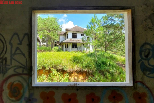 Khung cảnh nhìn từ cửa sổ 1 biệt thự bỏ hoang sang 1 biệt thự khác. Những căn biệt thự kiến trúc đẹp, nằm cạnh đường và nhìn ra hồ Tuyền Lâm nhưng nhiều năm qua là nơi hoang vắng, gây lãng phí.