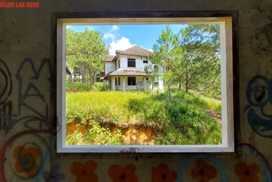 Khung cảnh nhìn từ cửa sổ 1 biệt thự bỏ hoang sang 1 biệt thự khác. Những căn biệt thự kiến trúc đẹp, nằm cạnh đường và nhìn ra hồ Tuyền Lâm nhưng nhiều năm qua là nơi hoang vắng, gây lãng phí.