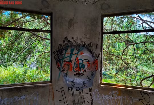 Khung cảnh ma mị nhìn từ các cửa sổ biệt thự bỏ hoang. Theo ông Tuyến, có thể có trường hợp chủ đầu tư dự án thỏa thuận, kêu gọi góp vốn bên ngoài nhưng Ban Quản lý Khu du lịch quốc gia hồ Tuyền Lâm không có thông tin chính thức về những vấn đề này.