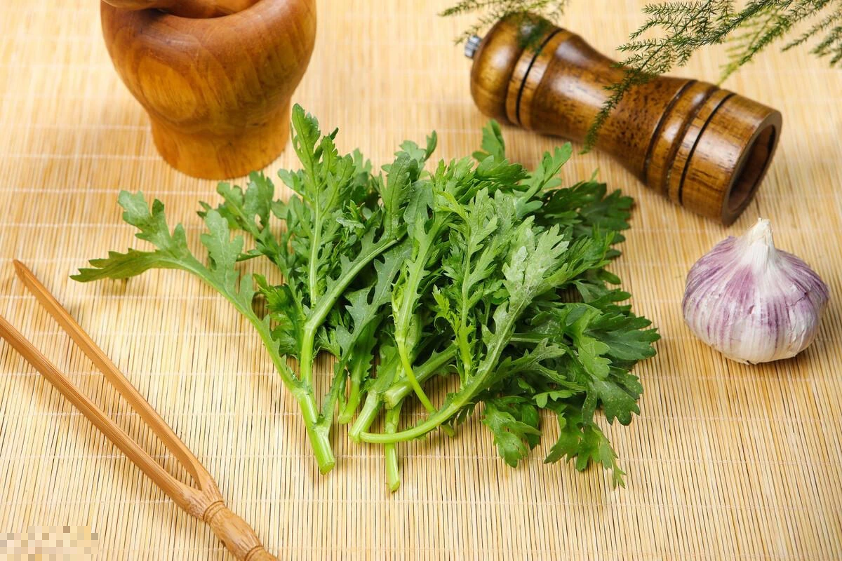 Loại rau “món ăn của hoàng đế”, dưỡng dạ dày, bổ mắt, tốt xương - Hình 6 Loai rau “mon an cua hoang de”, duong da day, bo mat, tot xuong-Hinh-6