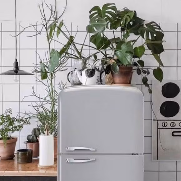 De thu nay len tu lanh, khong chi lang phi dien ma con nguy hiem