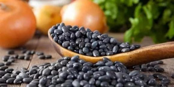 Mot loai hat giau protein, duoc coi la vua cua cac loai dau