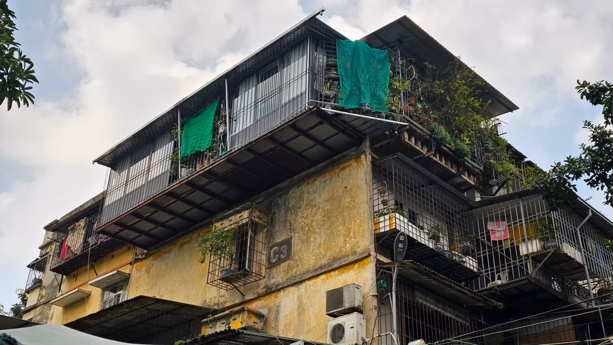 Một số hộ dân làm "chuồng cọp" khủng cho căn hộ của mình theo cách không giống ai.